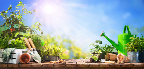 Gardening tools and seedlings on wooden table outdoors © Alexander Raths