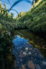 A sign on the side of a river