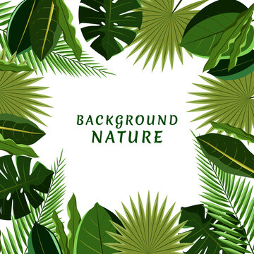 Background nature tropical, leaf illustration for a nature design theme