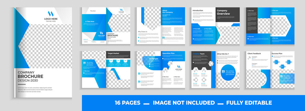 16 pages business brochure template layout design, 16 page business profile template editable layout, modern shape brochure, booklet, annual report, vector