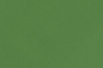 green paper cardboard carton background surface wallpaper