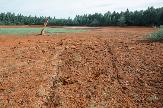 Dead Soil Remaining After Storage In The Sump Of Pesticides