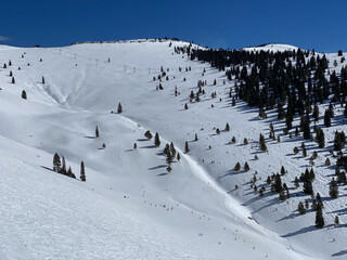 People skiing in a distance at back bowl at Vail Ski Resort, CO