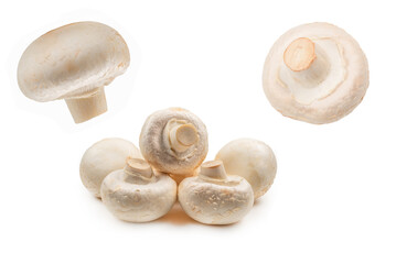 Champignon mushroom isolated on white background.