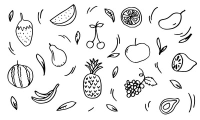 doodle hand drawn collection of fruits.line drawing.vector illustration.