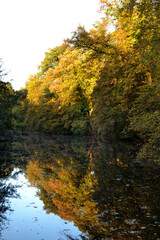 Landschaft Herbst Bäume Wald Gewässer