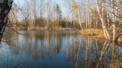 Rural landscape with a lake on a spring sunny day