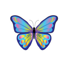image of multicolored blue butterfly isolated on white background