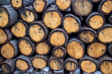 A pile of cut wood. Tree trunk section. Sawn logs in a stack. A large pile of felled trees in the forest.