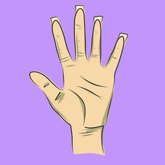 Obraz premium Beautiful vector beige hand illustration