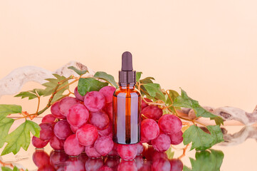 Dropper dark glass bottle on a red grapes background. Organic cosmetic, essential oil, beauty treatment, alternative medicine. Close-up, copy space.