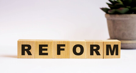 The word REFORM on wooden cubes on a light background near a flower in a pot. Defocus
