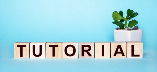The word TUTORIAL is written on wooden cubes near a flower in a pot on a light blue background