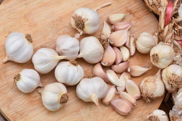 Garlic Cloves and Bulb on wooden cutting board. Garlic on wooden table background