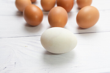 white egg with front many egg on white table wooden background. chicken egg inside duck egg or Different human in the social or different business concept. Selective focus.