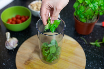 The person tossing fresh basil leaves into a blender. Preparation of an Italian dish. Basil pesto.