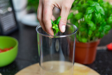 The person tossing fresh basil leaves into a blender. Preparation of an Italian dish. Basil pesto.