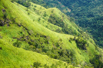 Incredible green views of mini Adams Peak valley in Sri Lanka, south east asia.