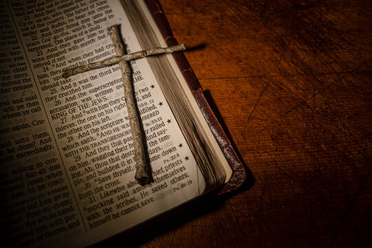 Tree twigs forming cross on old open bible