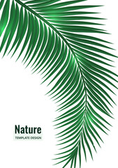 Fototapeta na wymiar Abstract tropical style. Palm branch on a white background. Vector illustration