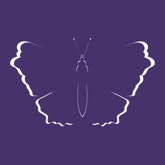 Butterfly on violet background. Paper cut style