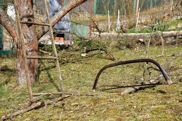Hand saw garden tools for pruning tree branches in spring