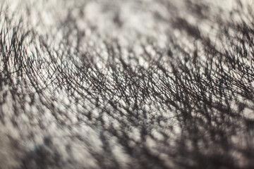 close up of black and white texture