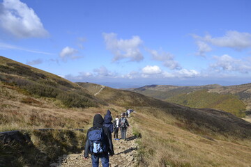 Bieszczady, szlak na Tarnicę, pasmo górskie w Karpatach © Albin Marciniak