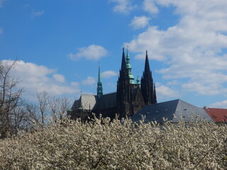 Cathedral of St. Vitus