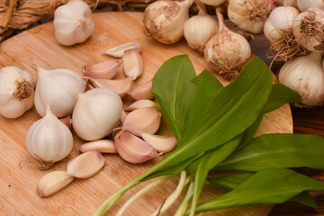 Wild garlic ramson or bear garlic with garlic bulb and garlic cloves on wooden cutting board
