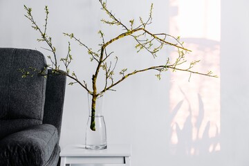 Blooming branch in vase by couch