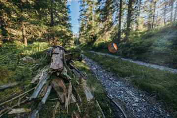 A train traveling down train tracks near a forest