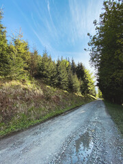 Path in forest to Prasiva hill