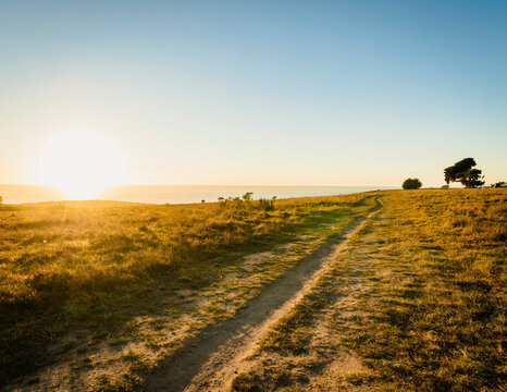 United States, California, Cambria, Grassy field and blue sky at sunset