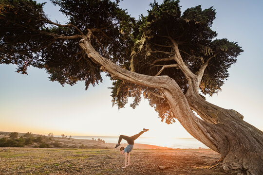 United States, California, Cambria, Girl (12-13) doing handstand near tree in landscape at sunset