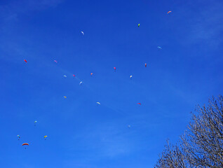 Gleitschirmflieger, Paraglider auf der Schwäbischen Alb, Deutschland