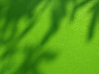 green texture