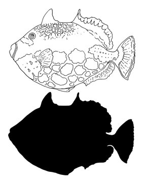 black and white fish outline clip art preview