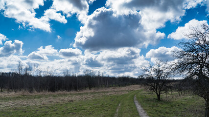 Błękitne niebo z chmurami nad wiejską drogą