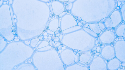 Macro shot of soap bubbles under the lights for wallpapers and backgrounds