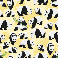Seamless pattern with realistic adult giant pandas bears and their cubs. Ailuropoda melanoleuca. Animals of China. Vector illustration