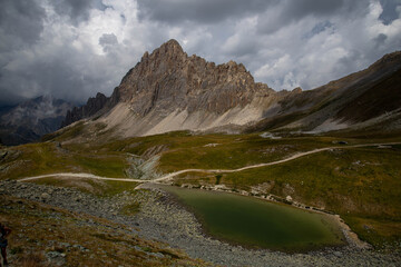 rocca la meja dal becco nero
