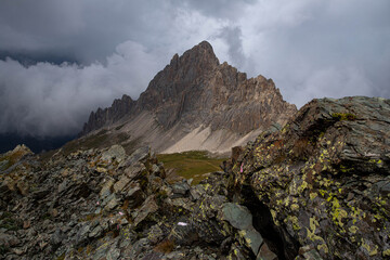 la meja dal becco nero