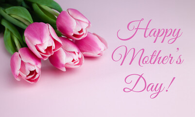 Postcard for Mother's Day. Bouquets pink tulips on pink background. Greeting card. Banner. Close-up.