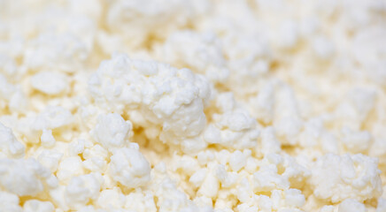 Fresh milk curd as background.