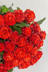 Obraz premium A lush bouquet of fresh red roses
