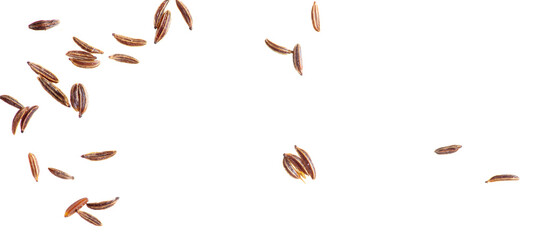 Caraway seeds isolated on a white background.