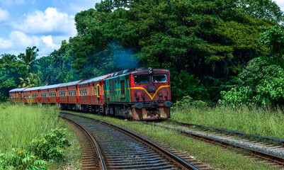 train on the railway