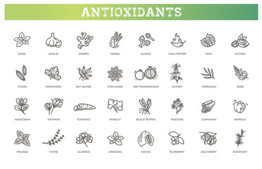 Antioxidant food, herbs and spices. healthy lifestyle.
