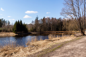 Zalew Czapielówka w Puszczy Knyszyńskiej, Podlasie, Polska